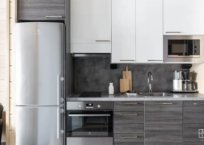 Ellivuori Moisio Σπίτι διακοπών *